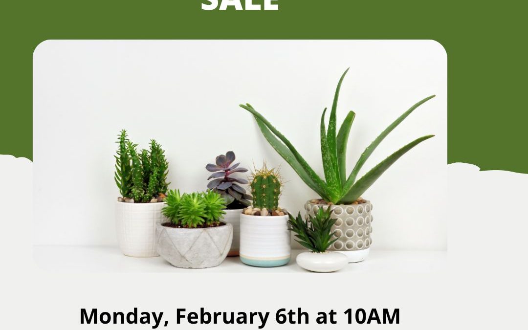 Friends of the Library: Plant Sale