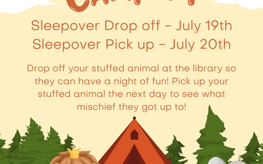 Stuffed Animal Sleepover Campout