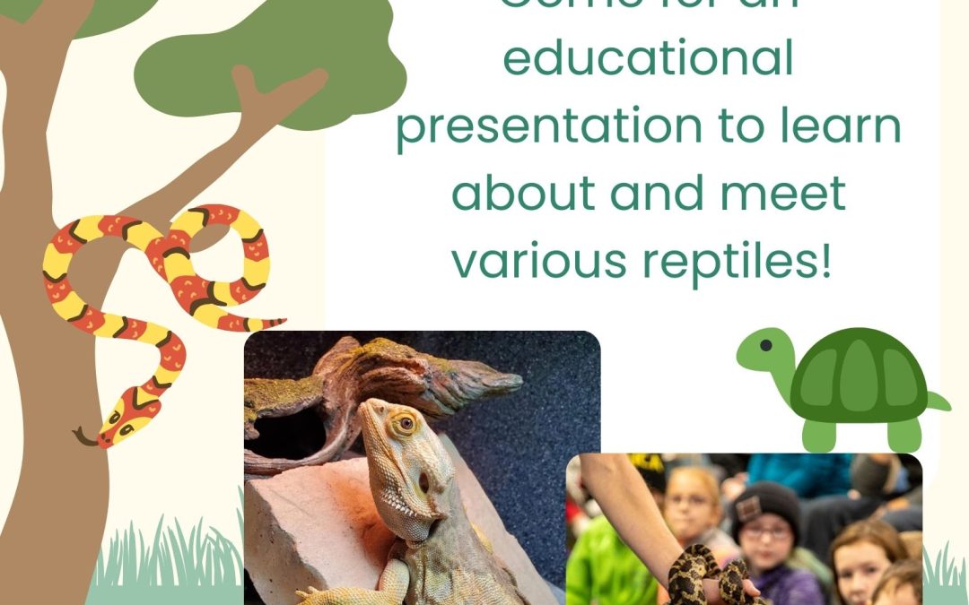Snake Discovery